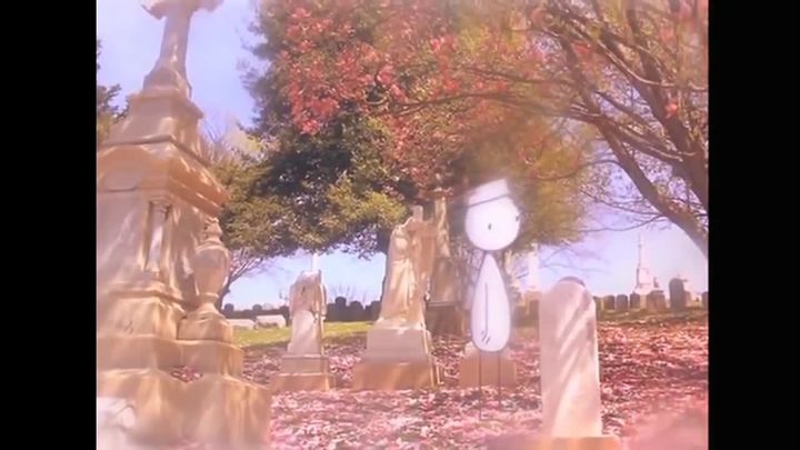 It s Such a Beautiful Day: Analysis vs. Experience
